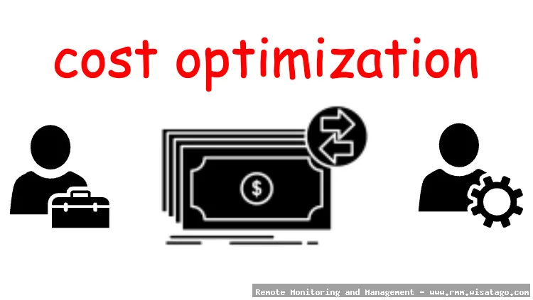 Cost Optimization through Intelligent RMM Deployment