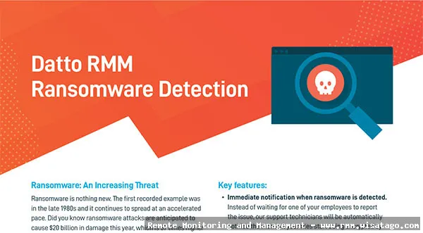 Cybersecurity Threat Detection through RMM Analytics
